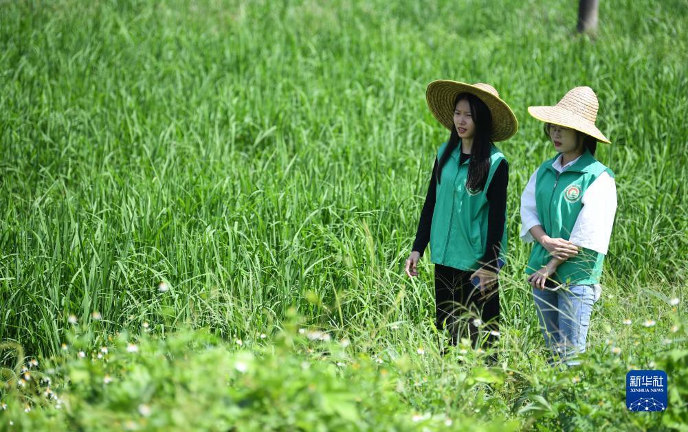 金沙国际官网下载